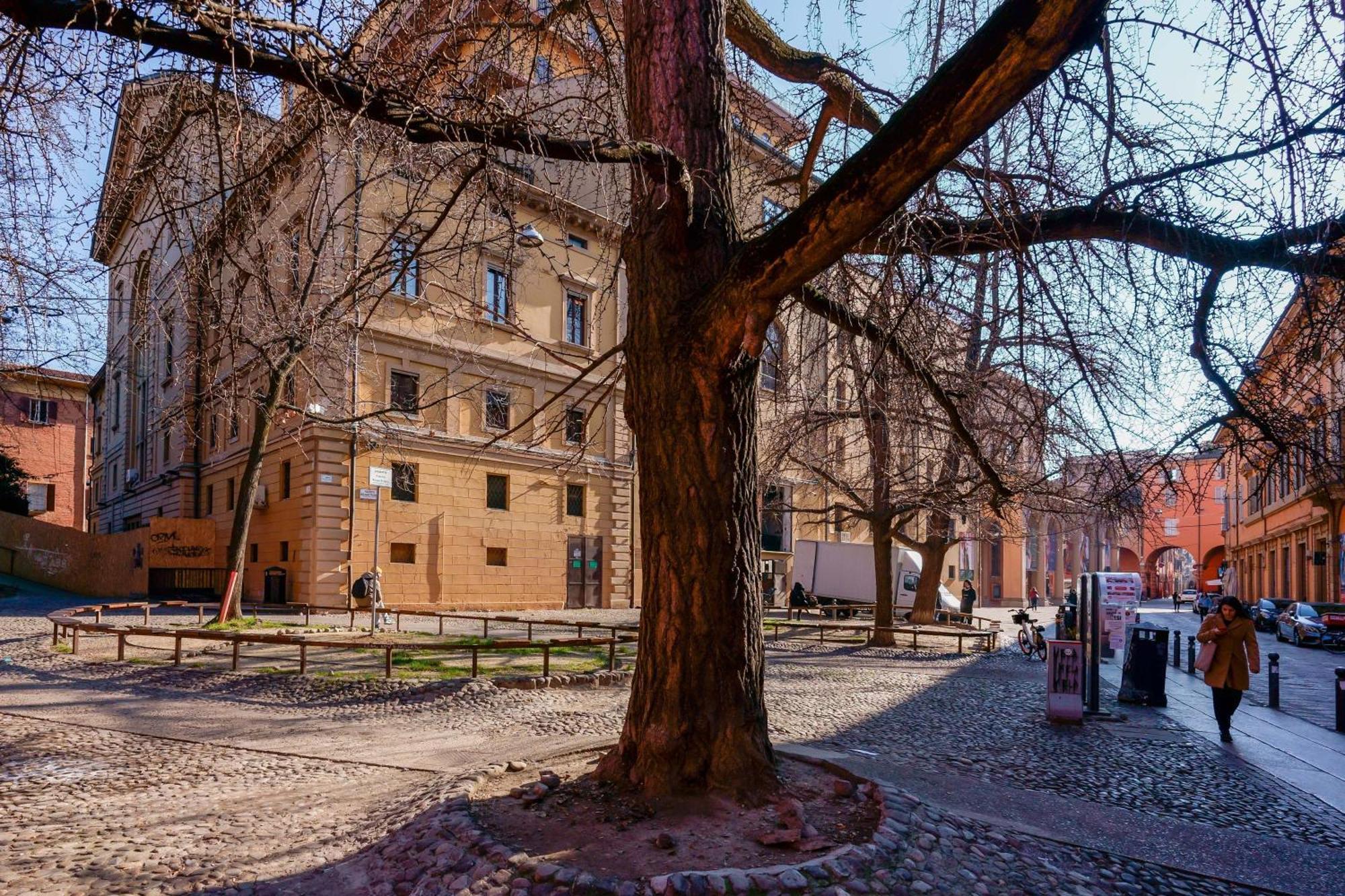 Zamboni 58 Apartment - Zona Movida Bologna Kültér fotó